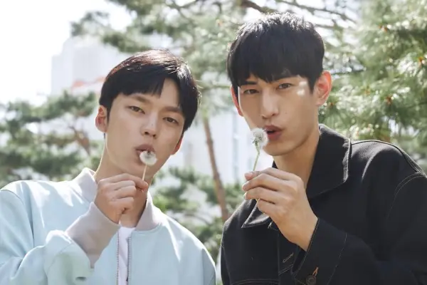 kpop mykpopmania.art