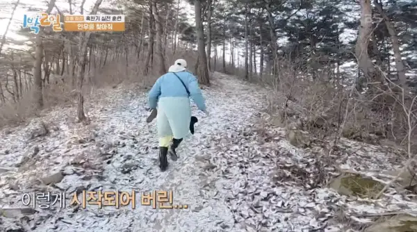 kpop mykpopmania.art