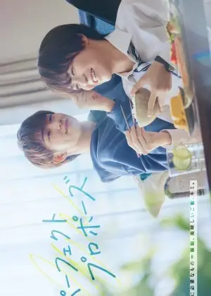 Perfekt förslag (2024)