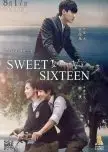 Sladkih šestnajst