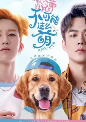 Sevgili Kardeşim (2022)