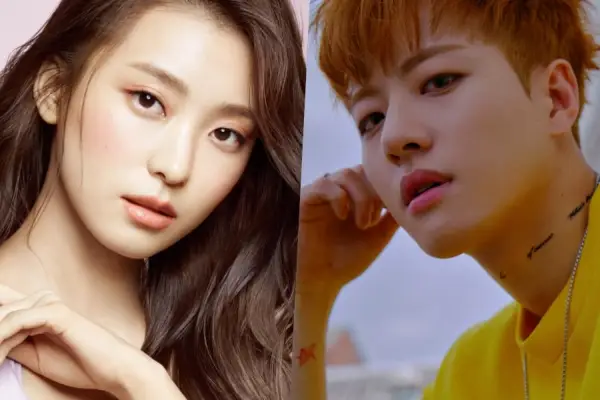 Bora en feeldog bevestigen uiteenvallen