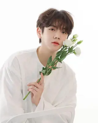 kpop mykpopmania.art