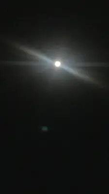 kpop mykpopmania.art