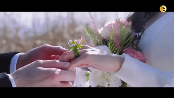 kpop mykpopmania.art