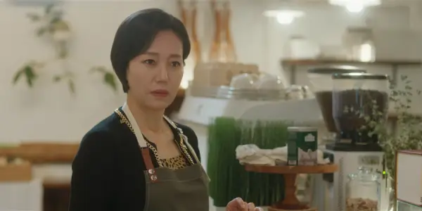 kpop mykpopmania.art