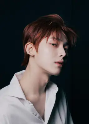 kpop mykpopmania.art